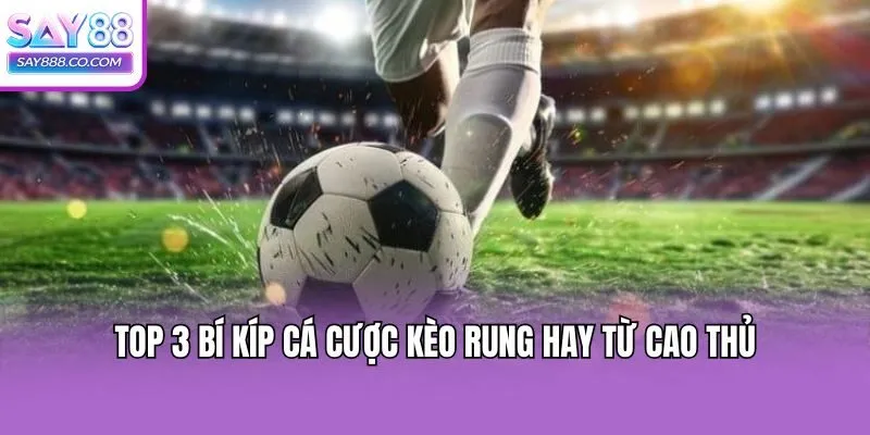 Top 3 bí kíp cá cược kèo rung hay từ cao thủ